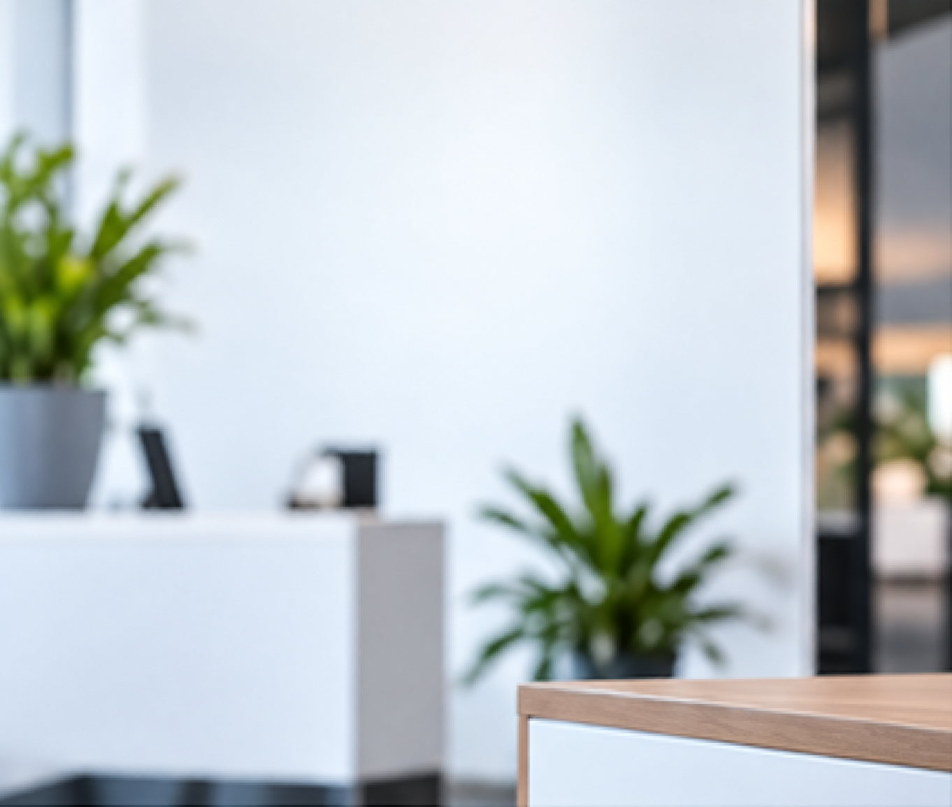 Bright professional reception area